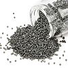 MIYUKI Delica Beads SEED-MY11-DB2512-1