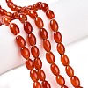 Dyed Natural Agate Beads Strands G-T141-15A-02-2