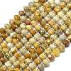 Natural Fossil Coral Beads Strands G-P573-A02-01-2