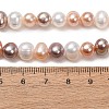 Natural Cultured Freshwater Pearl Beads Strands PA-CBABE82-14-5