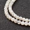 Natural White Shell Beads Strands G-G680-54-3