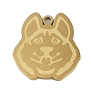 201 Stainless Steel Pendants STAS-C095-41G-1