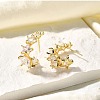 Star Brass Micro Pave Clear Cubic Zirconia Stud Earrings EJEW-R018-02G-3