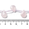 Natural Rose Quartz Beads Strands G-K382-C02-01-5