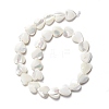 Natural Trochid Shell/Trochus Shell Beads SSHEL-O001-27D-1