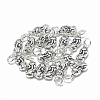 Thai 925 Sterling Silver Charms STER-T002-21AS-1