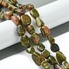 Natural Unakite Beads Strands G-G117-B03-01-2