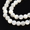 Natural White Shell Bead Strands X-SSHEL-N003-144D-01-3