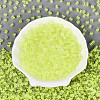Transparent Inside Colours Glass Seed Beads SEED-T007-11J-1