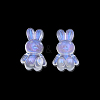 Transparent Acrylic Beads OACR-N008-172F-3