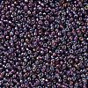 MIYUKI Round Rocailles Beads X-SEED-G007-RR1013-3