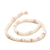 Shell Beads Strands SSHEL-E571-49I-4