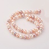 Natural Cultured Freshwater Pearl Beads Strands PEAR-G007-10-01-2
