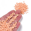 8/0 Baking Paint Glass Seed Beads SEED-R051-07B-06-4