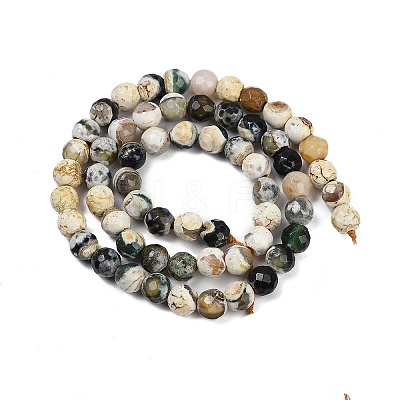 Natural Fire Crackle Agate Beads Strands G-C082-A01-49-1