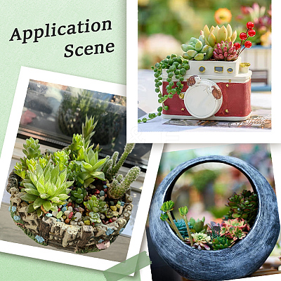 PVC Artificial Succulent Plant AJEW-SP0004-35B-1