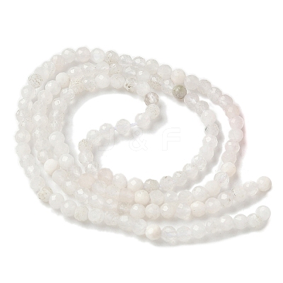 Natural Moonstone Beads Strands G-C201-B06-3mm-1