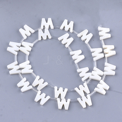 Natural Freshwater Shell Beads SHEL-T012-59W-1