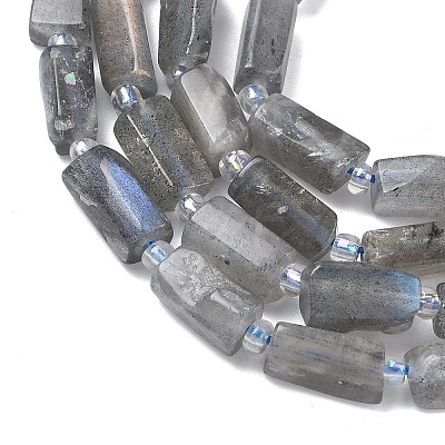 Natural Labradorite Beads Strands G-C270-K19-01-1