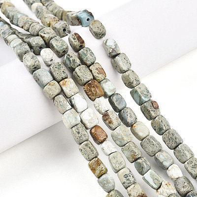 Natural Variscite Beads Strands G-N346-04A-11-1