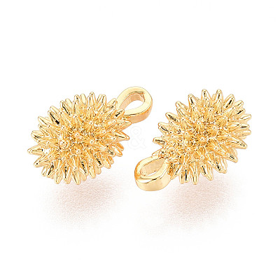Brass Charms KK-N263-106G-1