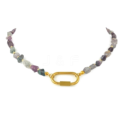 Women's Fluorite Necklaces NJEW-JN06639-1