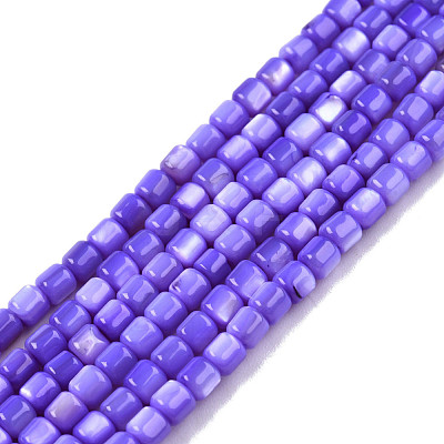 Natural Freshwater Shell Beads Strands SHEL-N003-33-A02-1