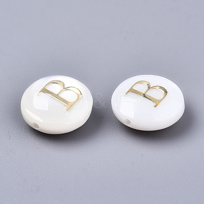 Natural Freshwater Shell Beads SHEL-S266-12B-1