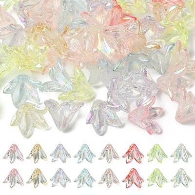 Transparent Acrylic Bead Caps OACR-FS0001-49-1