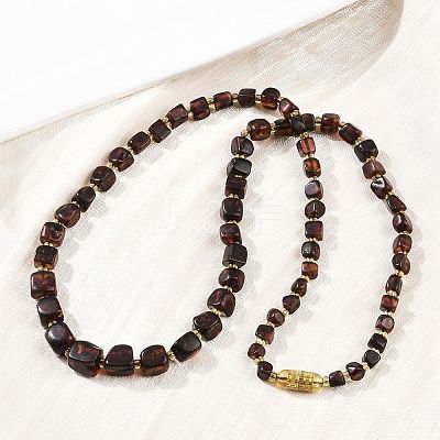 Natural Amber Beaded Necklaces NJEW-L466-02-1