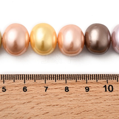 Shell Pearl Beads Strands BSHE-F013-01N-1