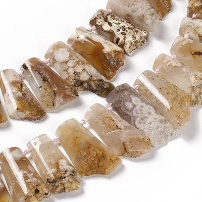 Natural Cherry Blossom Agate Beads Strands G-F719-12-1