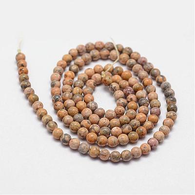 Natural Leopard Skin Jasper Beads Strands G-N0187-02-2mm-1