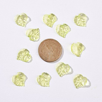 Transparent Acrylic Pendants X1-DBLA410-9-1