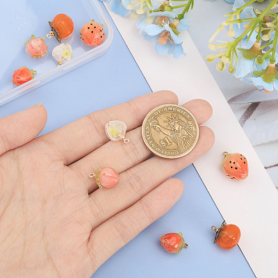10PCS 5Style Opaque Acrylic Charms SACR-CA0001-20-1