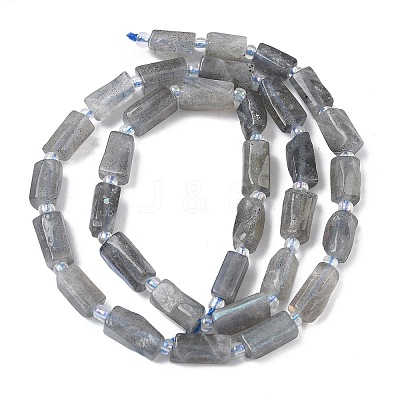 Natural Labradorite Beads Strands G-C270-K19-01-1