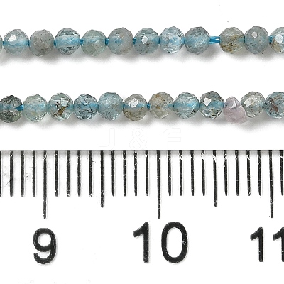 Natural Apatite Beads Strands G-C137-A01-01-1
