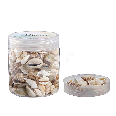Trumpet Shell Beads BSHE-YW0001-03-1