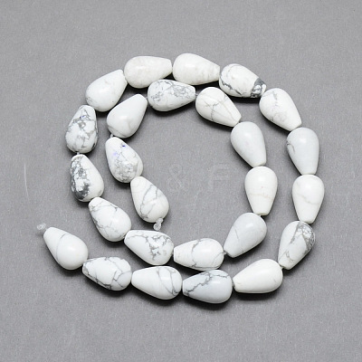 Natural Howlite Gemstone Bead Strands G-T004-19-1