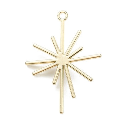 Alloy Pendants X-PALLOY-E580-05LG-1