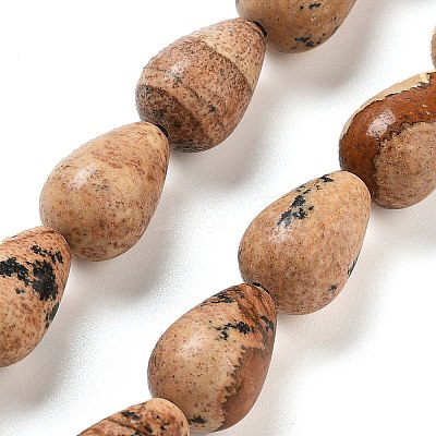 Natural Picture Jasper Beads Strands G-B106-A18-02-1