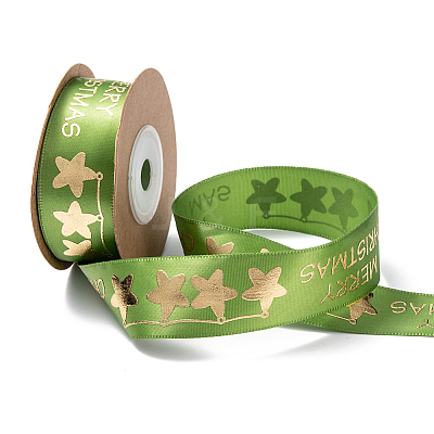 Polyester Ribbon SRIB-P018-B01-1