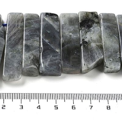 Natural Labradorite Beads Strands G-L551B-06-1