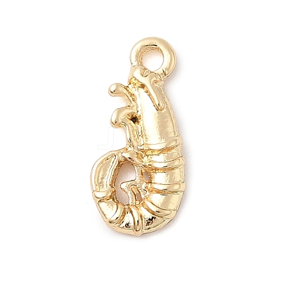 Alloy Pendantss FIND-I066-03G-1