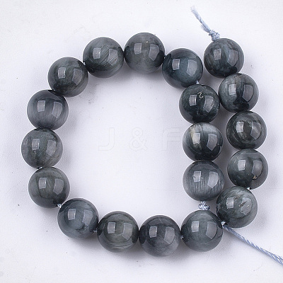Natural Hawk's Eye Beads Strands G-S333-10mm-027-1