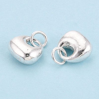 925 Sterling Silver Longevity Lock Charms STER-T008-30S-01-1