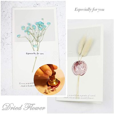 DIY Scrapbook AJEW-WH0100-325-1