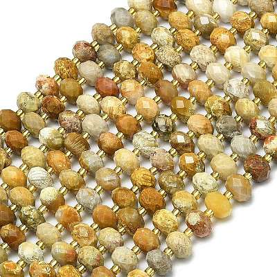 Natural Fossil Coral Beads Strands G-P573-A02-01-1