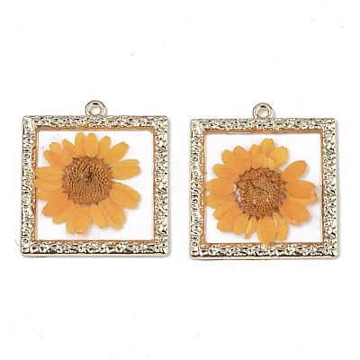 Epoxy Resin Pendants X-RESI-T045-029F-1