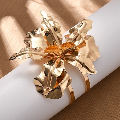 Alloy & Iron Cuff Bangles for Women LS-BJEW-F501-01C-KCG-1